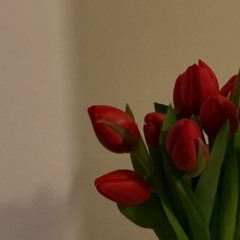 Hasan Bayar-Babemın