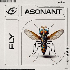 Asonant - Fly