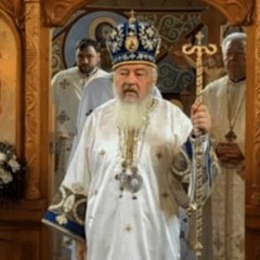 Mitropolitul Andrei „Pregătire Pentru Primirea Lui Hristos”