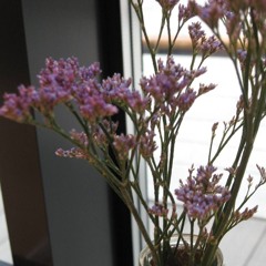 (free for profit) free nature x ambient x exotech type beat - "memory"