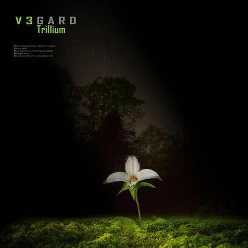 Trillium (Extended Mix)