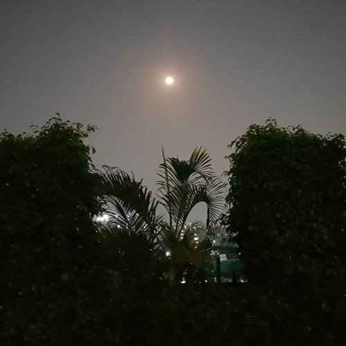 Maine Poochha Chand Se by Mohammed Rafi (Cover by Sudhir kumar)