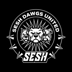 Trancemaster Krause @ SESH, RSO.BERLIN
