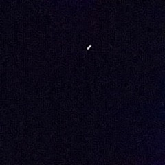 Daryo Goinden - if you gotta kill the witness