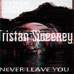 Never Leave You - Tristan Sweeney