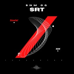 SRT (prod.MIHIREt)