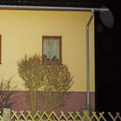 ivyend - petrichor (nic)