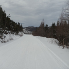 Routes & Branches & Beyond show # 389 2025 11 27