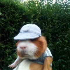 (MTG) LAVENDER TOWN - NÃO QUER SEU CORAÇÃO & PRIMEIRO BECK ELA ME MAMOU & ELA COLOCOU UM GPS