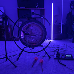 gong experiment 1