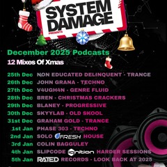 NON EDUCATED DELINQUENT 12 MIXES OF XMAS