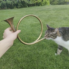 Stevie& - 18th December 2025