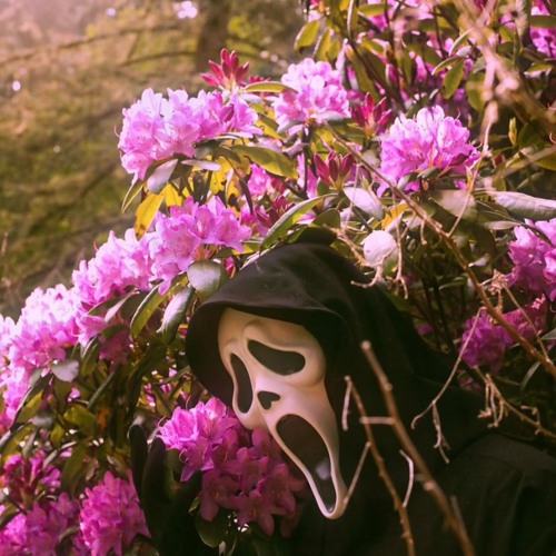 Lvl. heartbreak (Prod. Arielo)