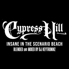 Cypress Hill - Insane In The Scenario Brain