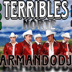 Los terribles del Norte  mix 🍻Corridos Chingones 🔥