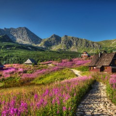 piwo solec - wioska gorali na pali