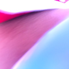 SUBHUMAN INHUMAN SUPERHUMAN