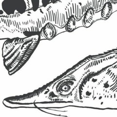 Groovin On A Saturday Morning