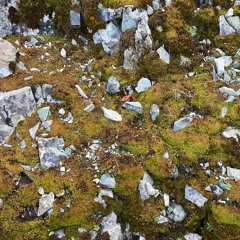 всё это было, было...