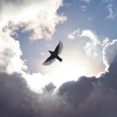 FREE