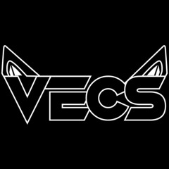 DJ VECS 운전할때 들으면 전손셋
