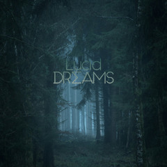 Lucid Dreams #66 by Darius Dudonis