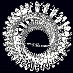 Photo Synth