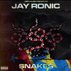 Jay Ronic - Snakes