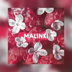 Дискотека Авария & Жанна Фриске - Малинки (hardstyle remix)