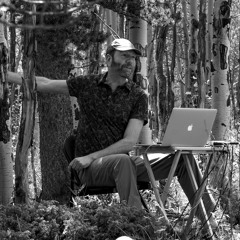 Populus tremuloides: Iddo Aharony