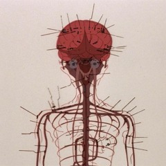 Implanted Memories