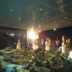 YOICHI HAYASHI - Ambient Live Mix at UTokyo - Fashion Show <reborn-り・Ｂｏｎｅ‐リボン>