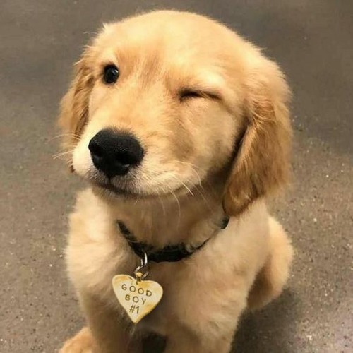 Sweet Dream 2 - Vgee Remix