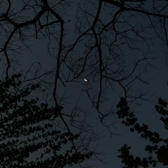 유성수성 - 이 알 수 없는 이방인의 행선지는 어디인가(demo)