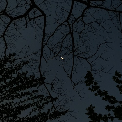 유성수성 - 이 알 수 없는 이방인의 행선지는 어디인가(demo)