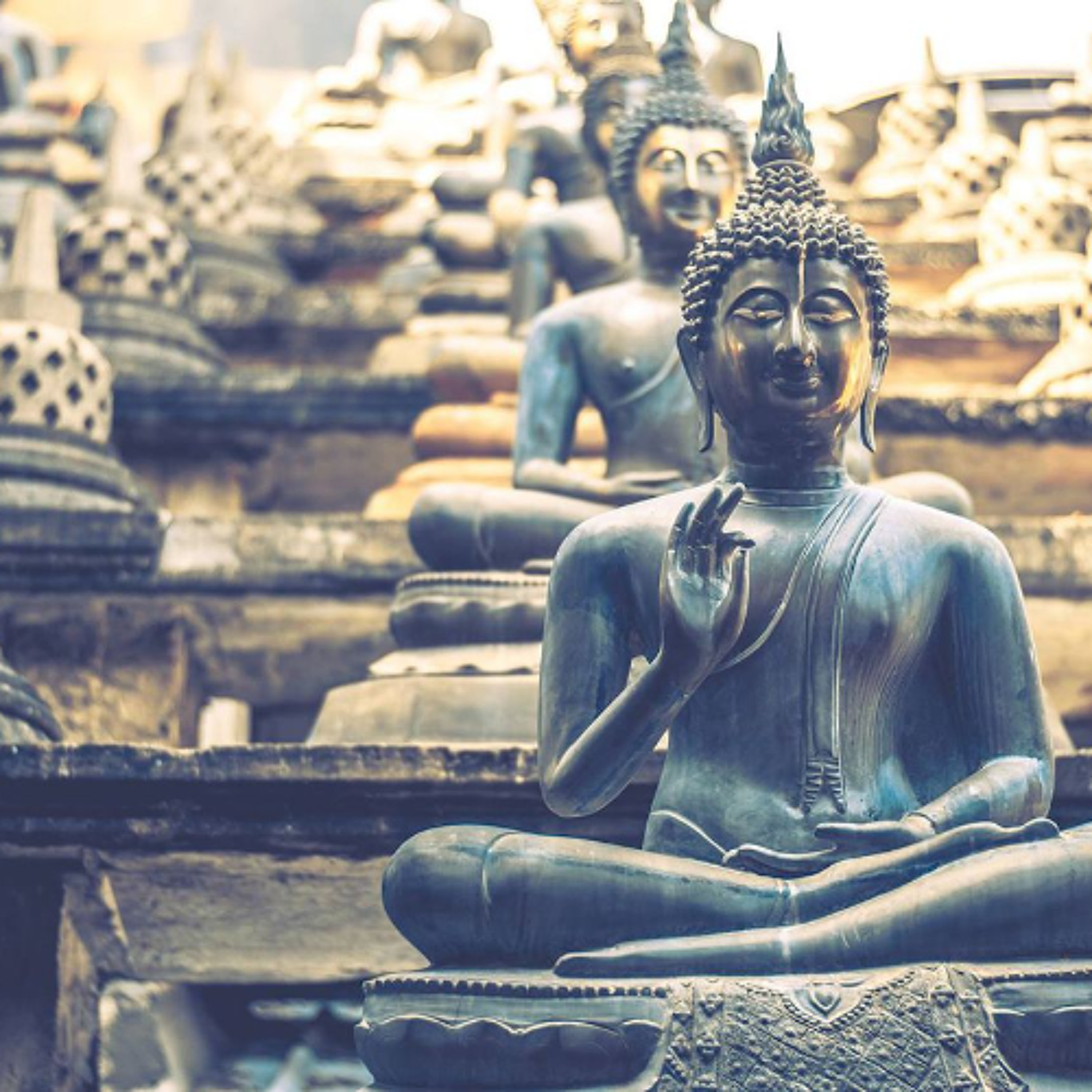 Best of Awake in the World: The Jhanas (4 stages of concentration)