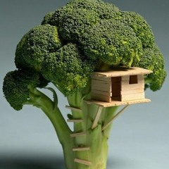 Broccoli  Factory ft @Slim_Sakurai (prod. by LiLJxnkins Beatz)