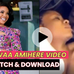 Serwaa Amihere Leaked Video Original