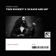 Hozier Too Sweet x Avicii Wake Me Up