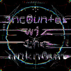 3nc0un+er w!z the unkn0wn