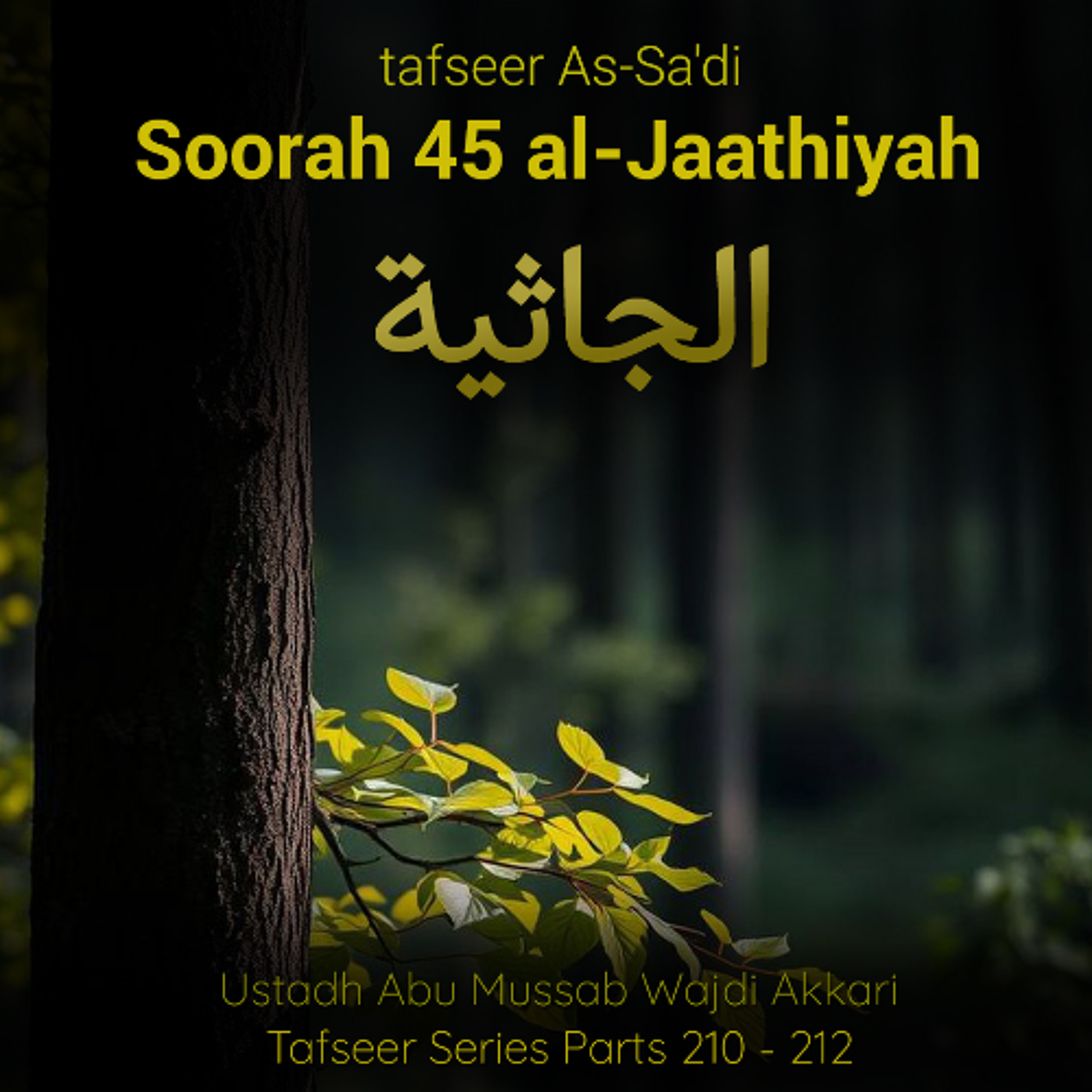 tfsrQWTP#214 - Tafseer As-Sa'di - Soorah Al-Jaathiyah - Aayat 14-26 - Usthad Abu Mussab Wajdi Akkari episode artwork