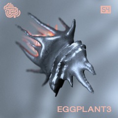 TMS - #54 - Eggplant3