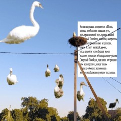 лето на даче