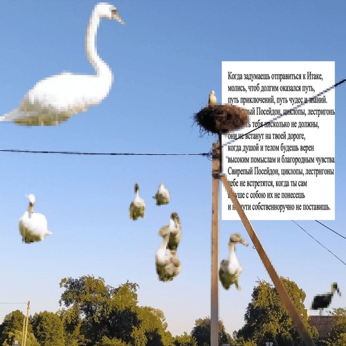 лето на даче