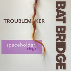 Spaceholder Bat Bridge