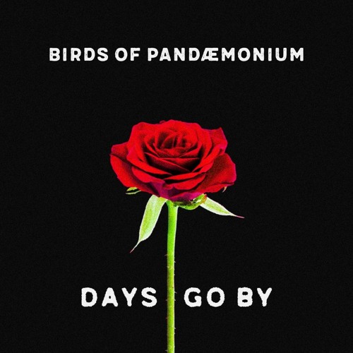 PREMIERE: Birds of Pandæmonium - Days Go By [Our Starry Universe]