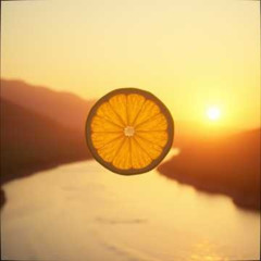 Chatanooga Lemon (Leni)