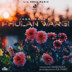 Phulan Wargi - Jaggi Kaul & Lil Daku | TikTok Audio