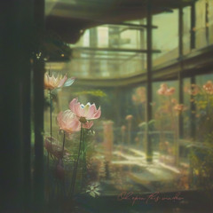 Iridescence, Oh, open this window (哦，打开这扇窗户)