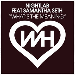 NIGHTLAB feat Samantha Seth - What’s The Meaning